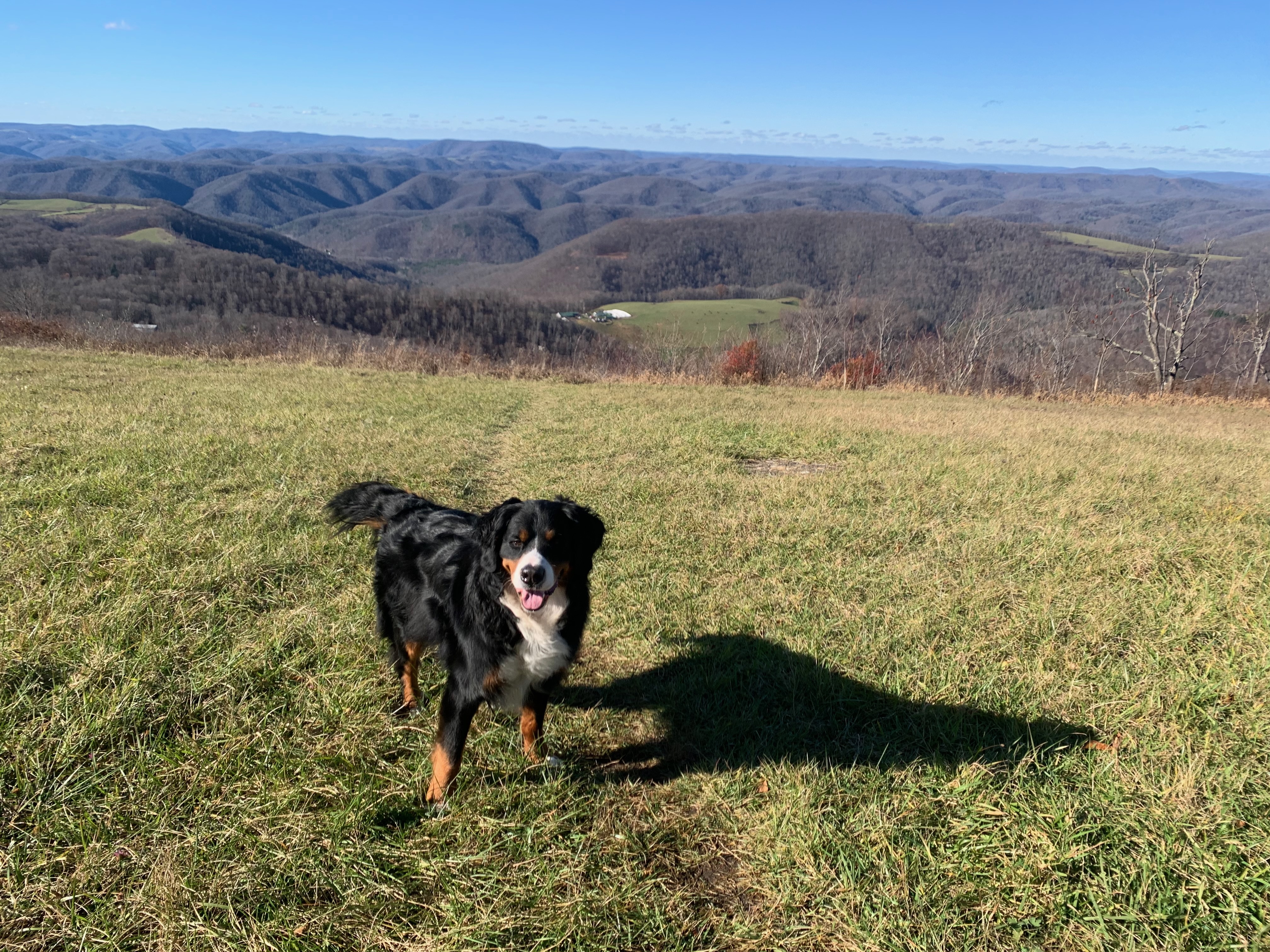 Backbone Mountain, West Virginia. Photo by the author.